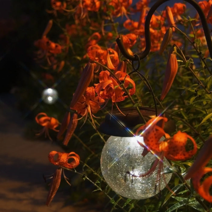 The Proven Advantages Outdoor Solar Garden Lights