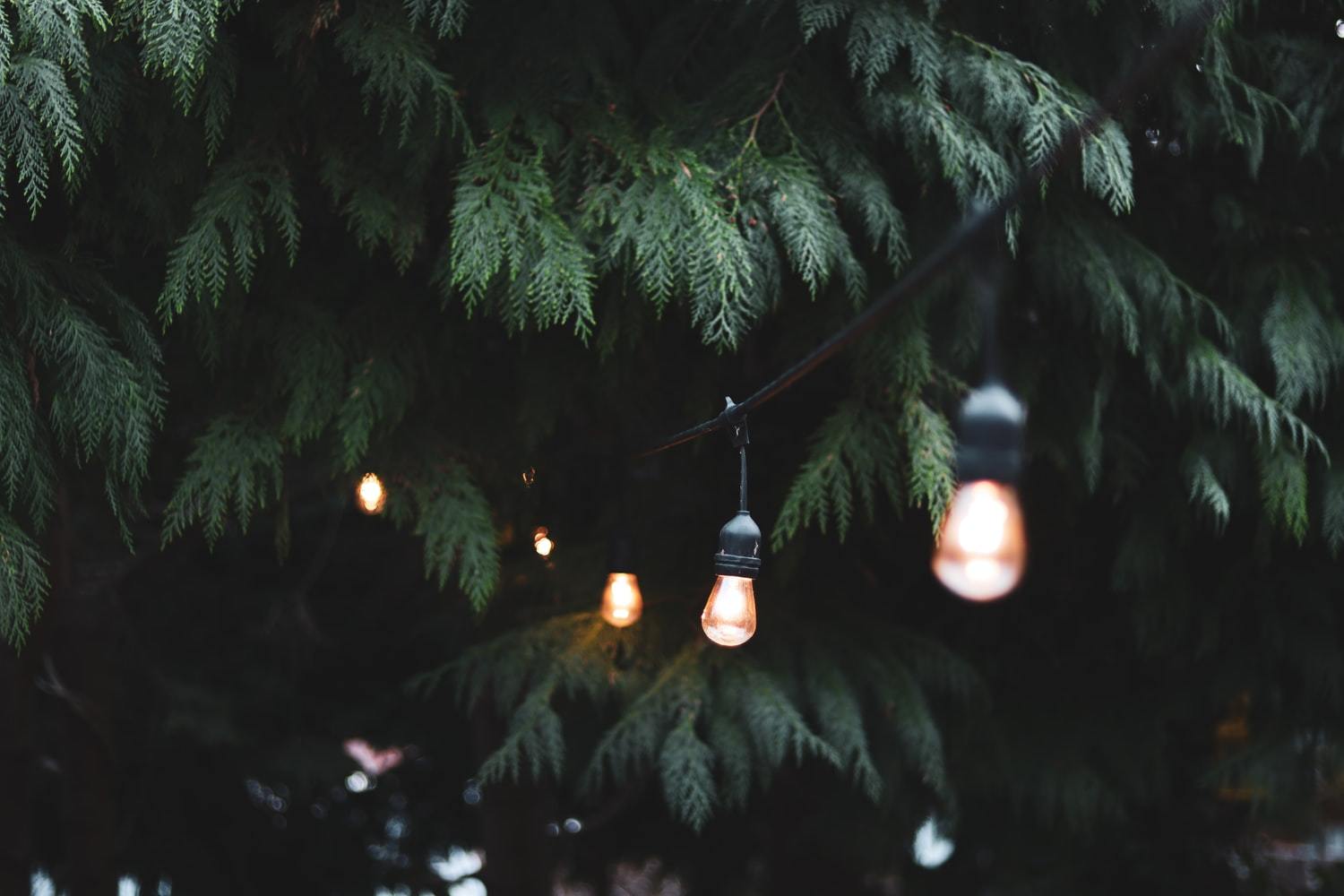 Best Solar-Powered Landscape Lights