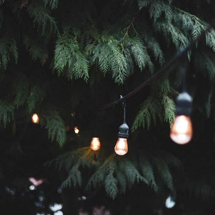 Best Solar-Powered Landscape Lights
