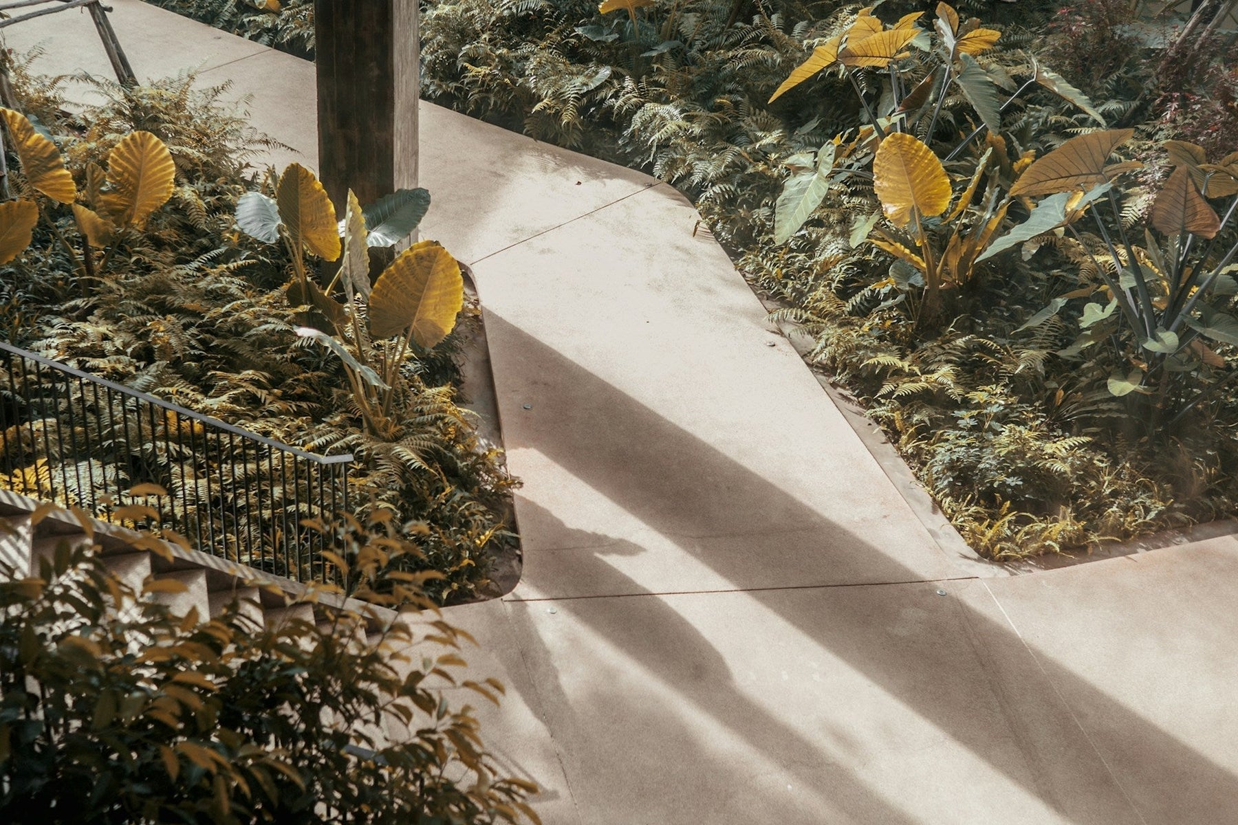 Best Solar Pathway Light: Top Choices for Illuminating Your Outdoor Space