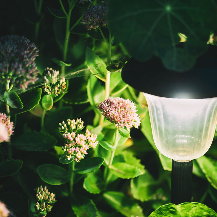 5 Ways to Decorate Your Garden with Lights