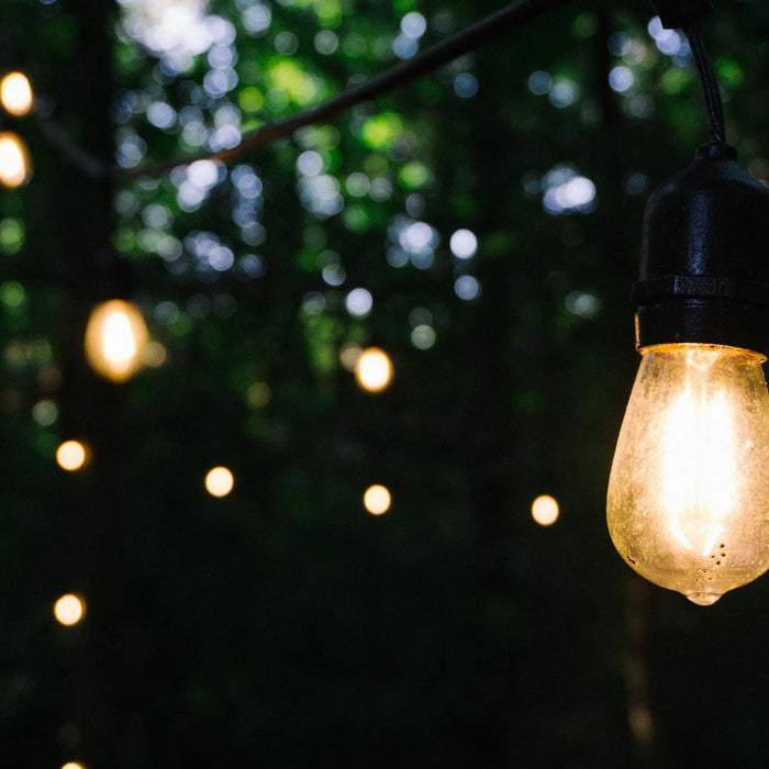 Different Types of Landscape Lighting Fixtures