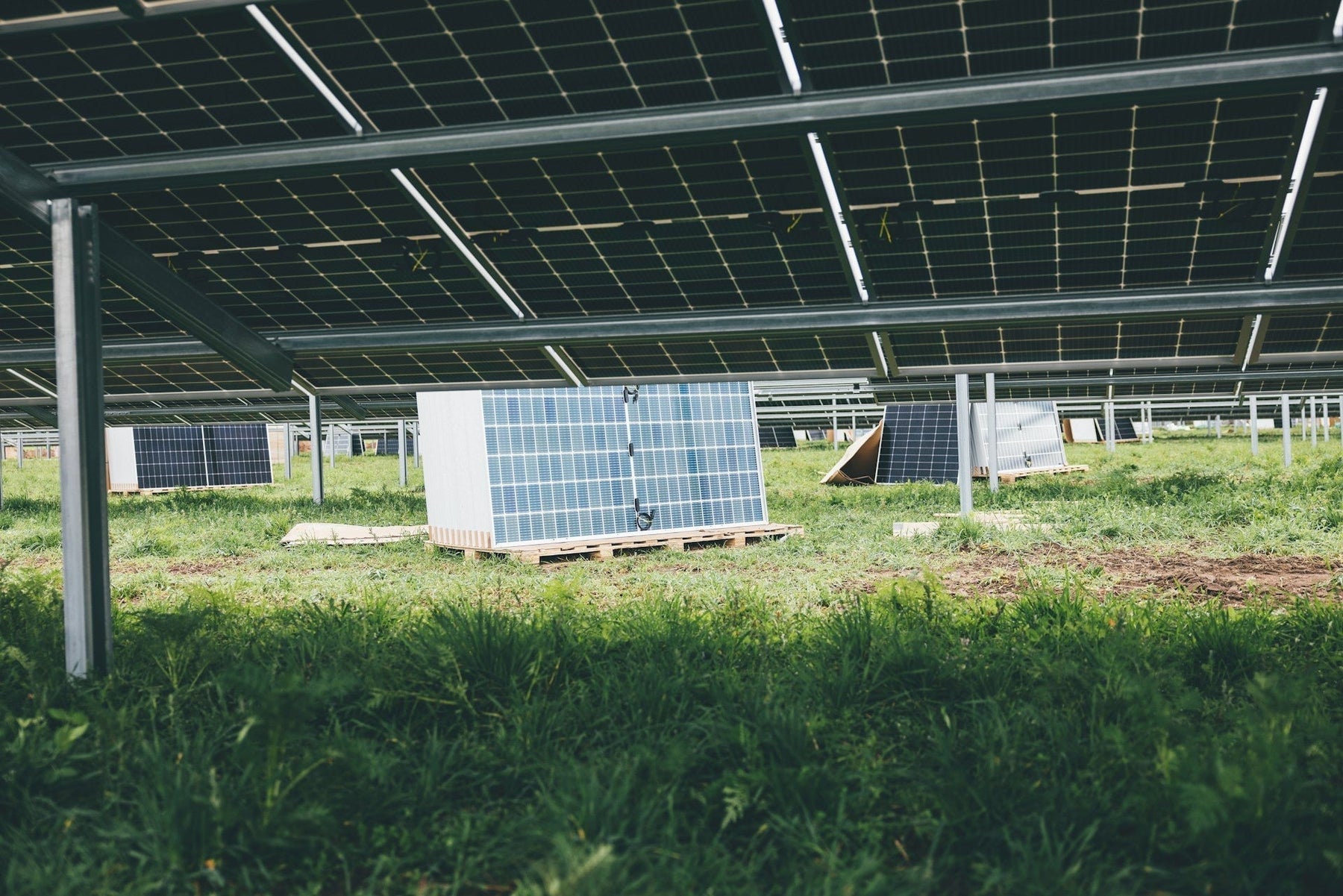 How Long Do Solar Lights Take to Charge for Optimal Performance?