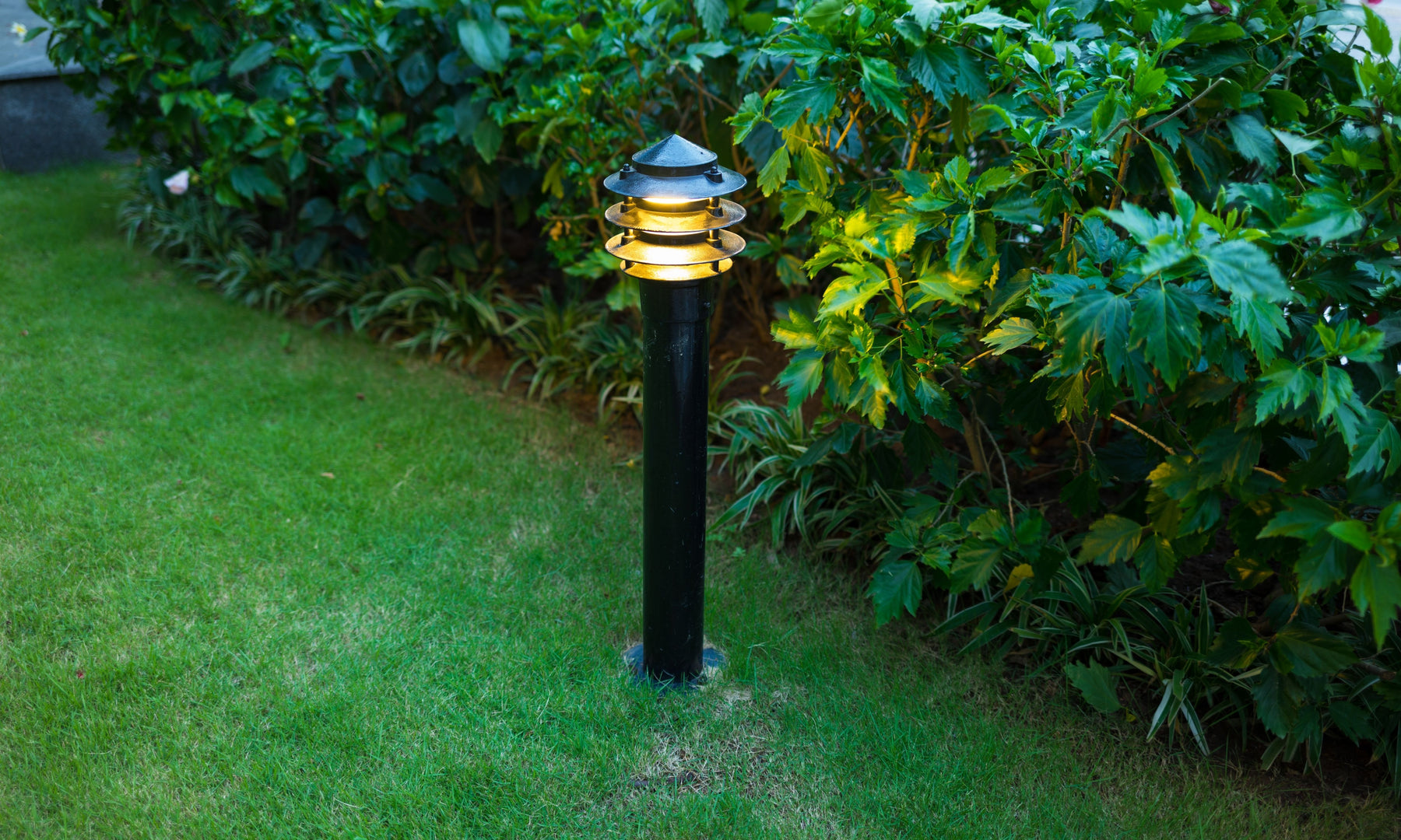 Solar Dusk to Dawn Outdoor Lights