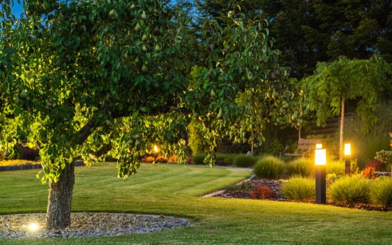 Top-Rated Security Yard Lights for 2025 by True Lumens