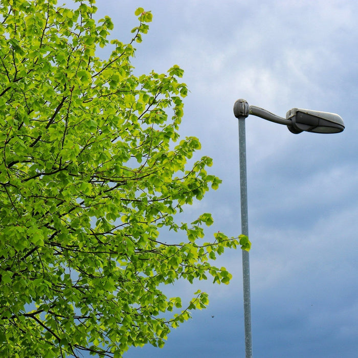 Why My Solar Light Is Not Working: Common Issues and Fixes