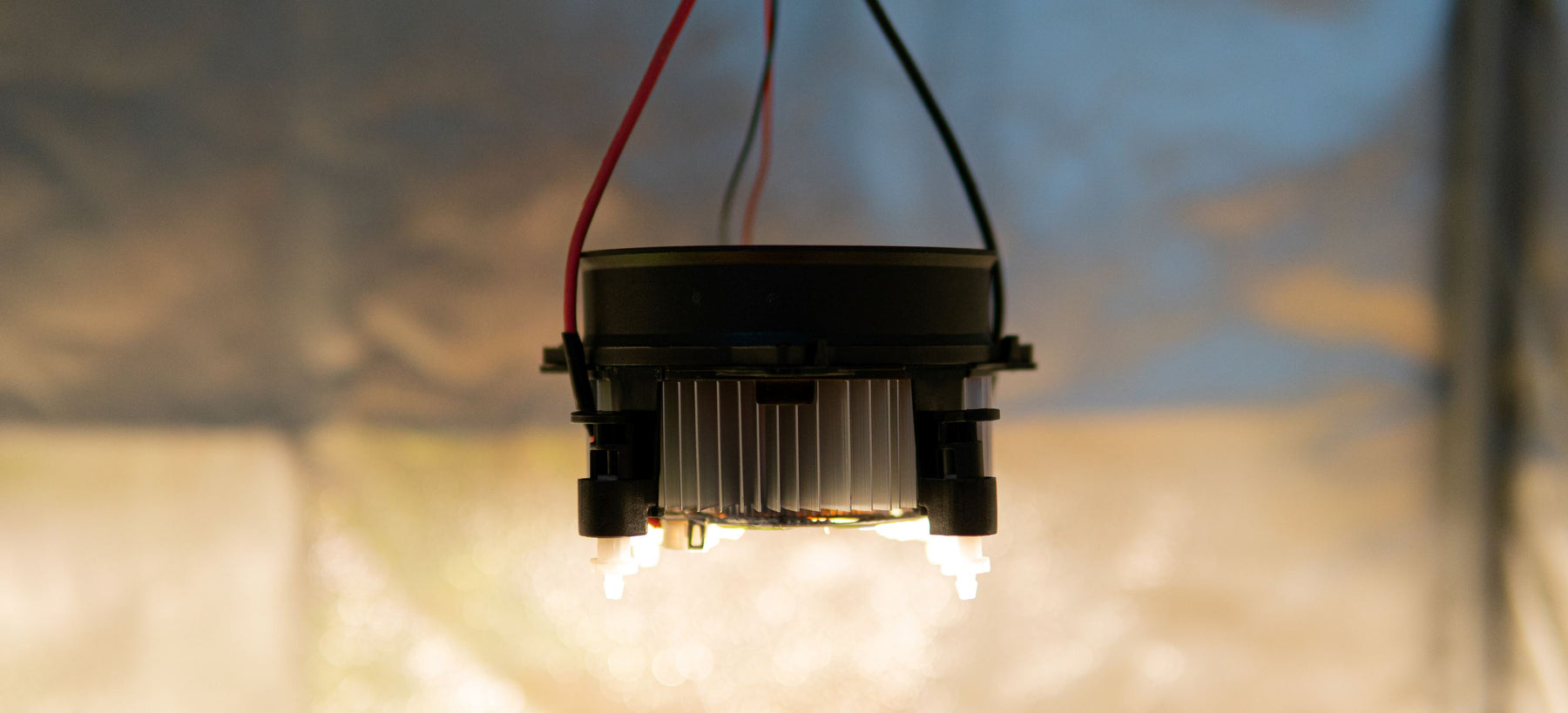 What Is a Cree Light?