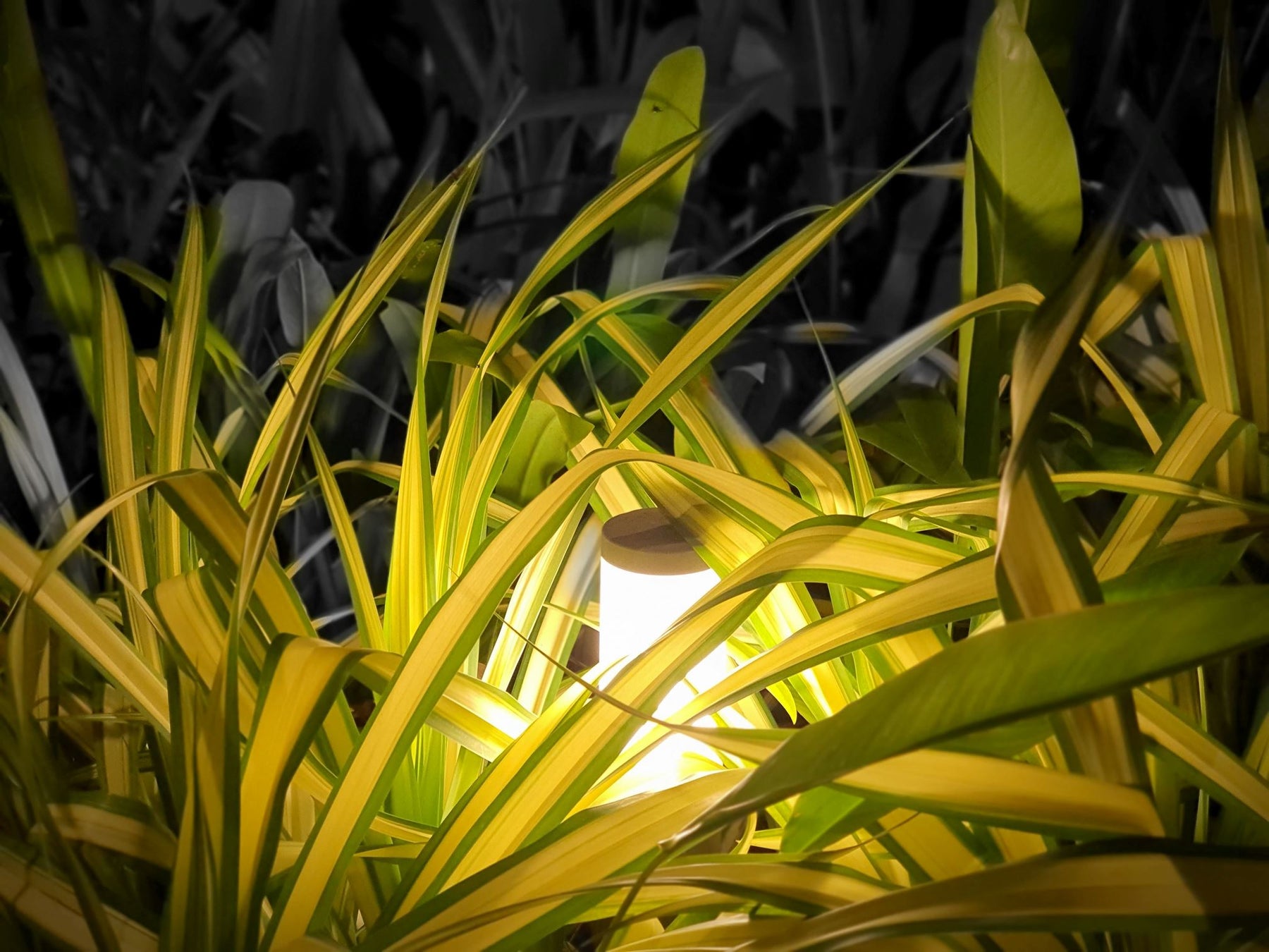 Design Landscape Lighting: Tips and Ideas