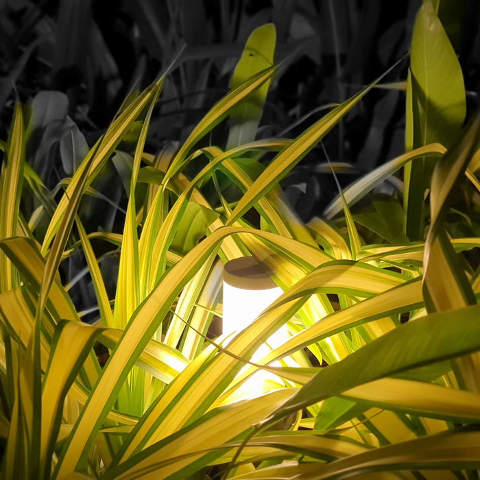 Design Landscape Lighting: Tips and Ideas