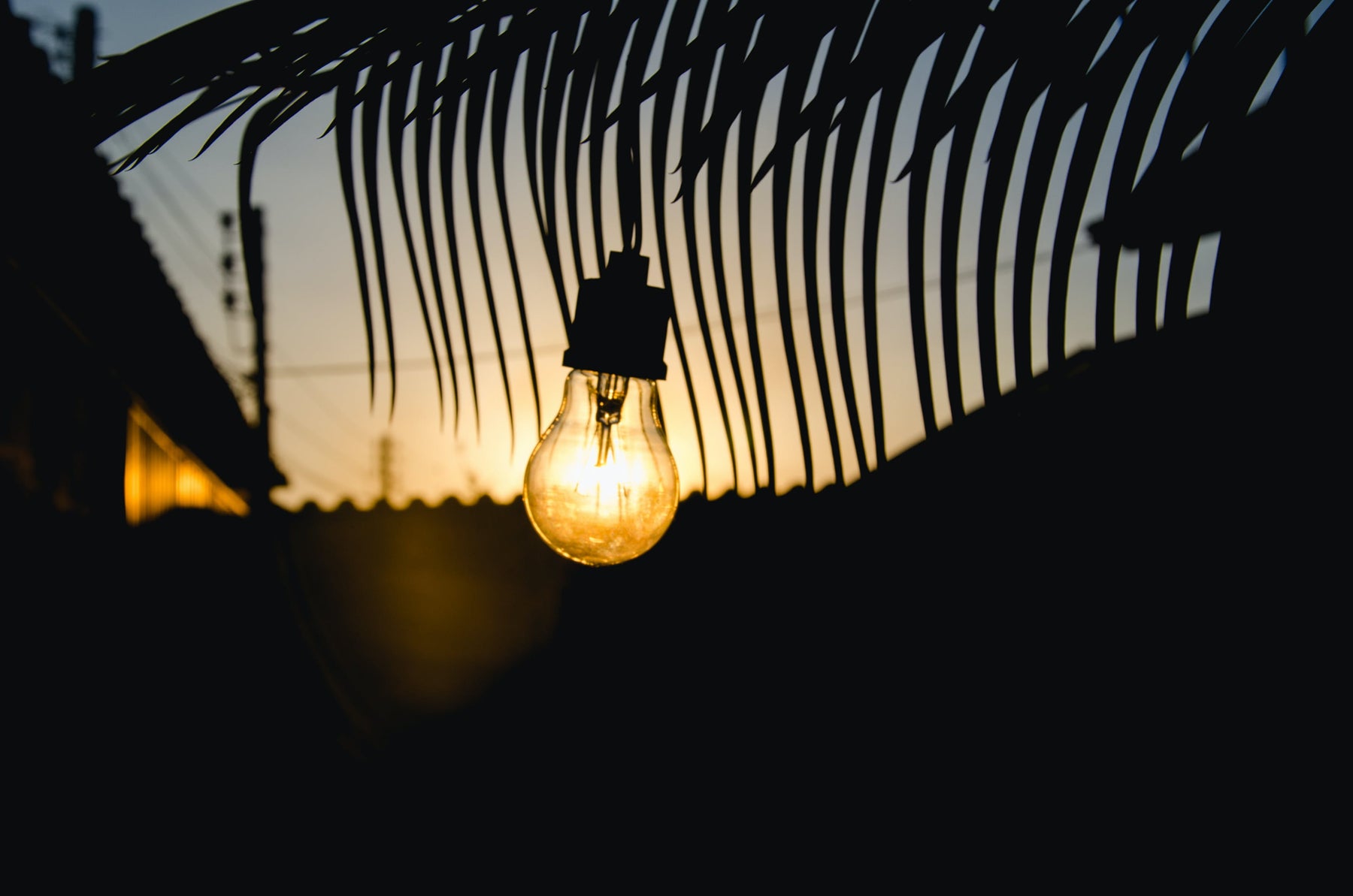 What Are the Best Solar Lights For Garden Illumination?