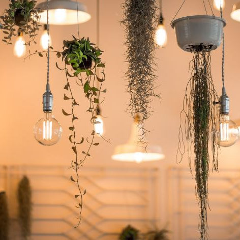 Outdoor Lighting – Eco-Friendly Lighting Solution