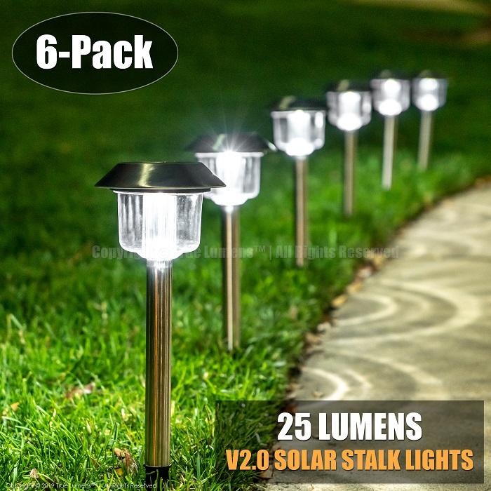 25 Lumens Stake landscape lights | Stainless Steel | Daylight White (6-Pack) True Lumens™