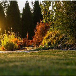 The Environmental Benefits of Outdoor Solar Lights