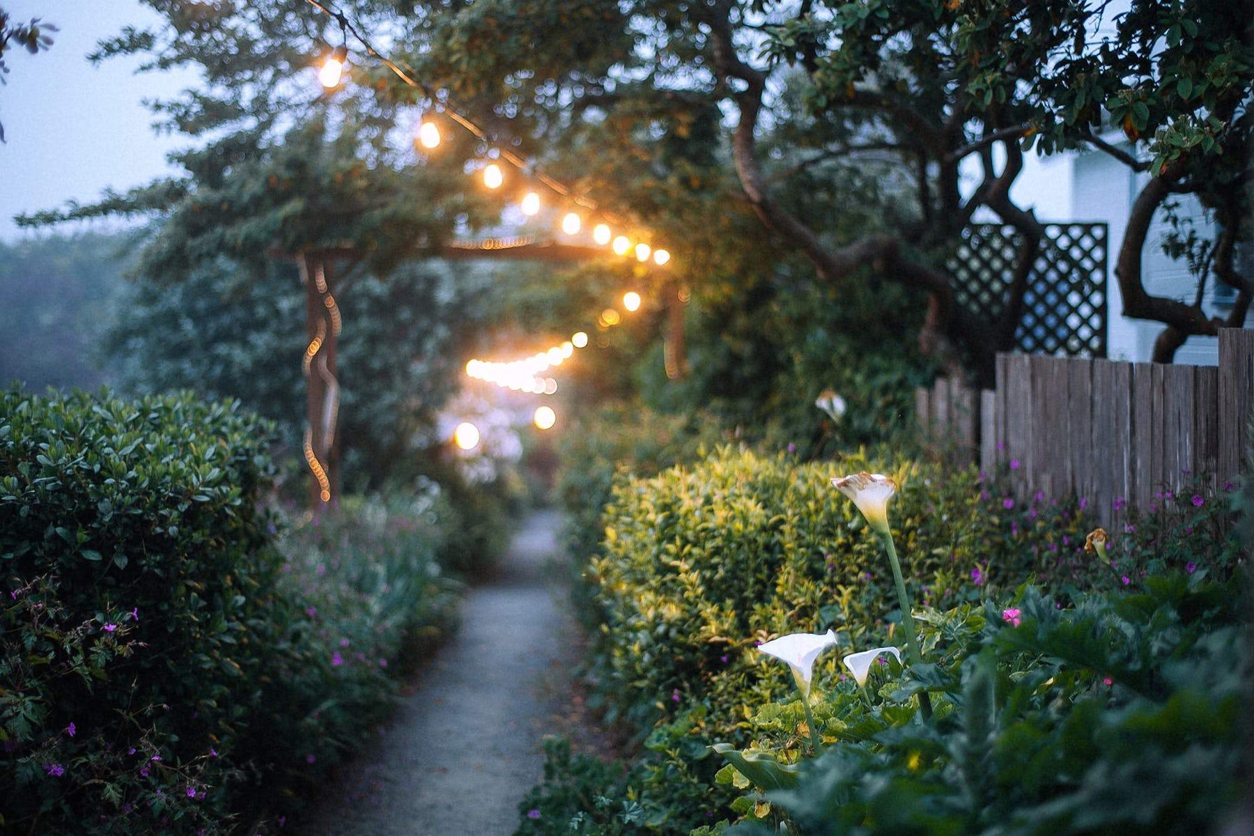 Beautify Your Garden with Solar-Powered Garden Lights