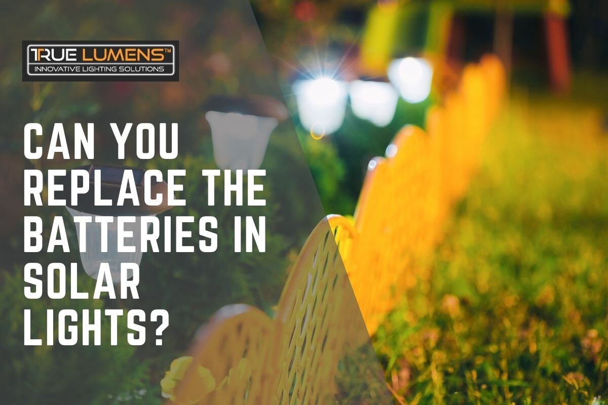 Can You Replace the Batteries in Solar Lights?