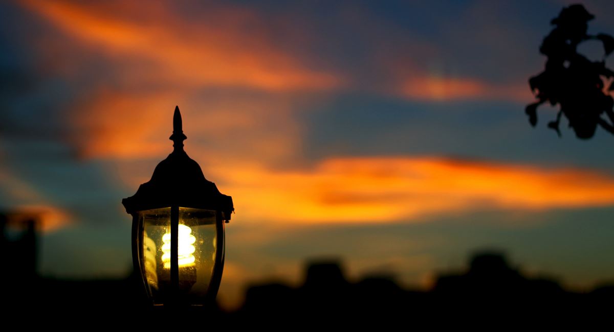 Why Should You Install Dawn To Dawn Lights in Your Garden?
