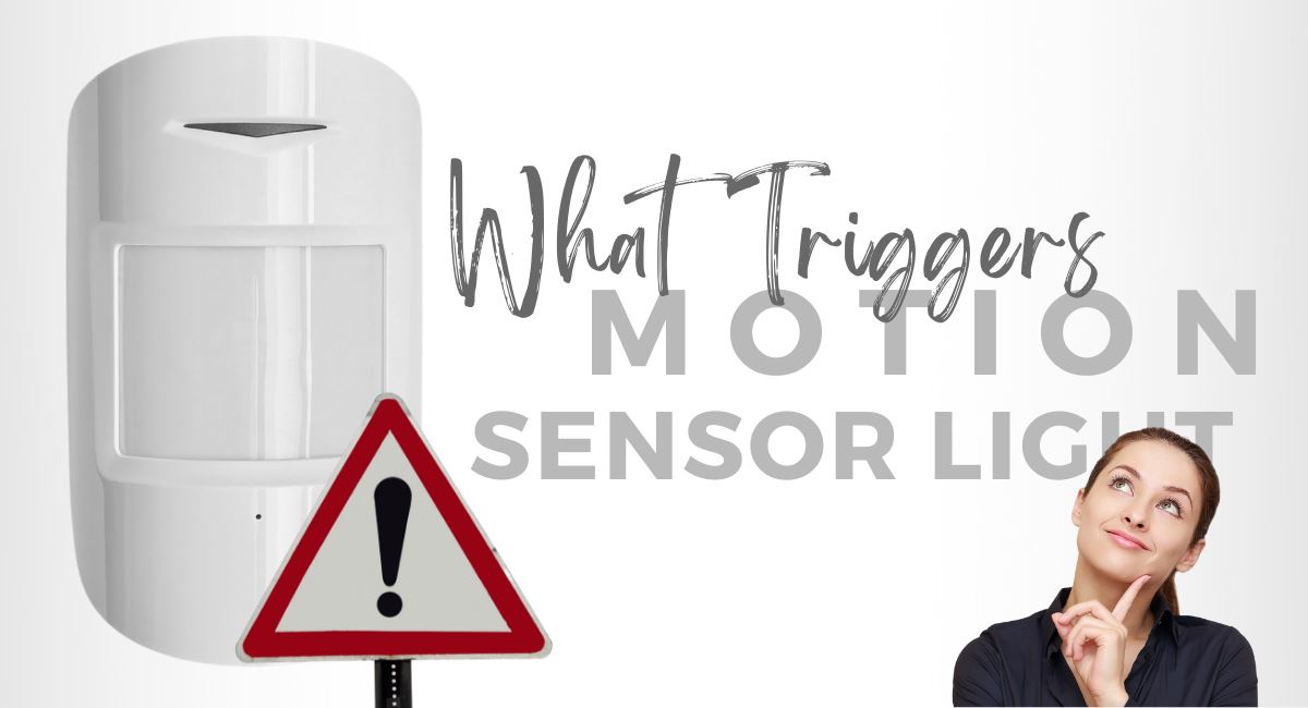 What Triggers Motion Sensor Light?