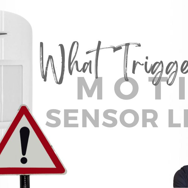 What Triggers Motion Sensor Light?