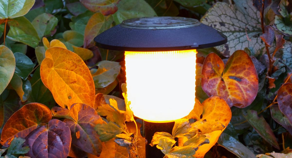 How to Light Up Your Garden at Night With Solar Lights — True Lumens