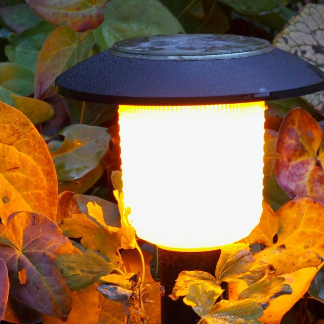 How to Light Up Your Garden at Night With Solar Lights