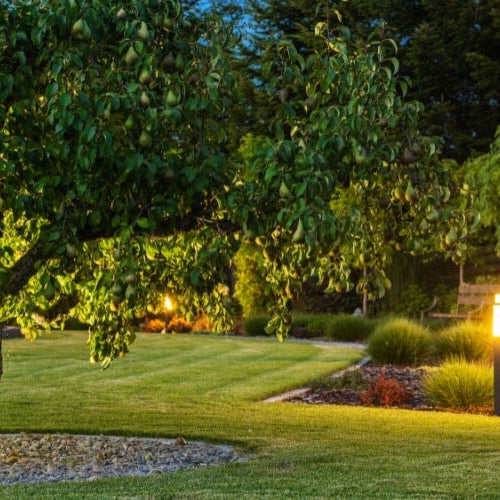 Top-Rated Security Yard Lights for 2025 by True Lumens