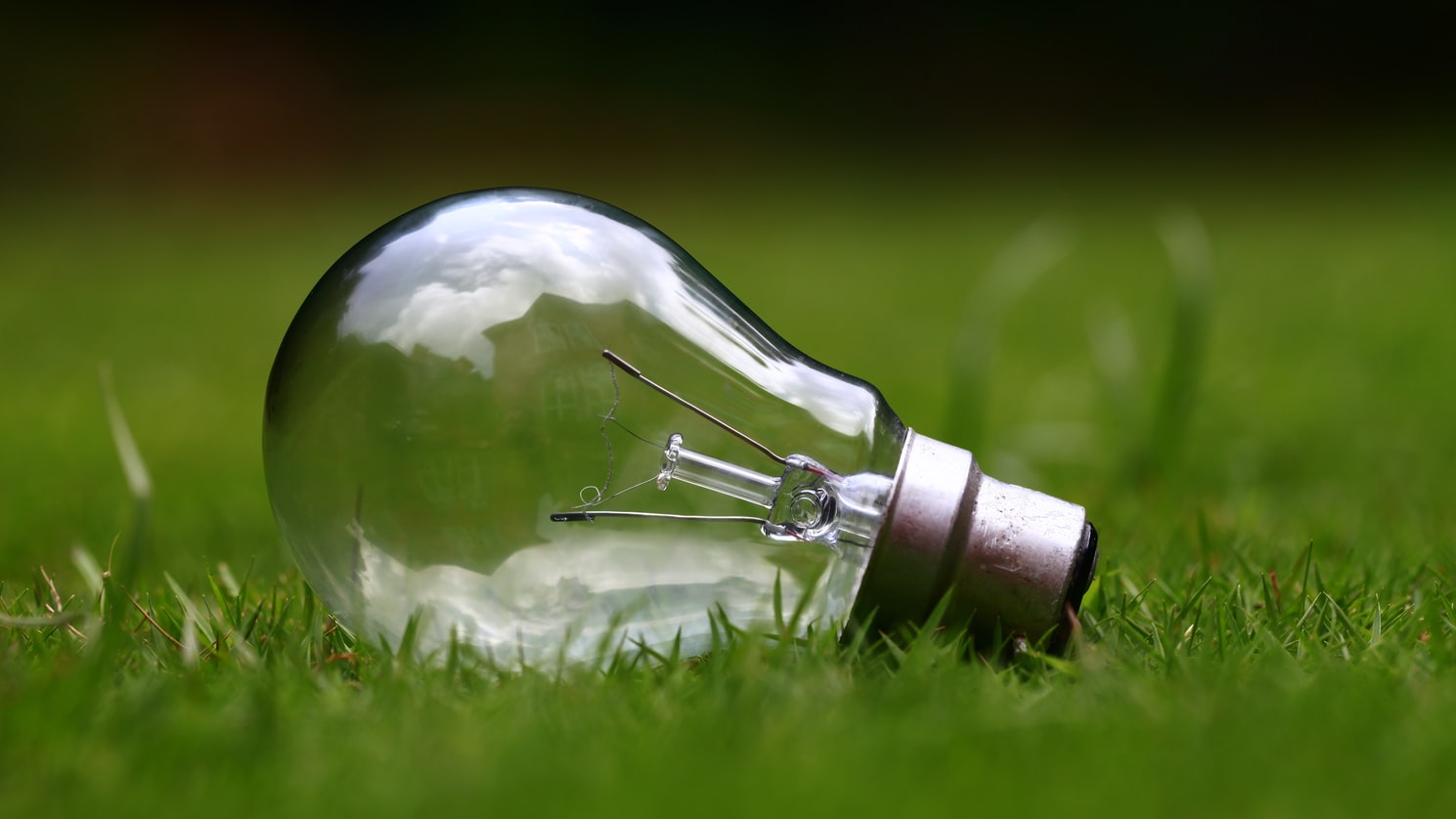 The Types of Light Bulbs For Homes and Offices