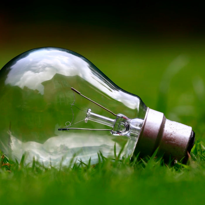 The Types of Light Bulbs For Homes and Offices