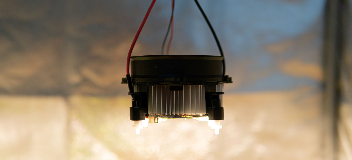 What Is a Cree Light? — True Lumens™ | Sharper Designs, Inc