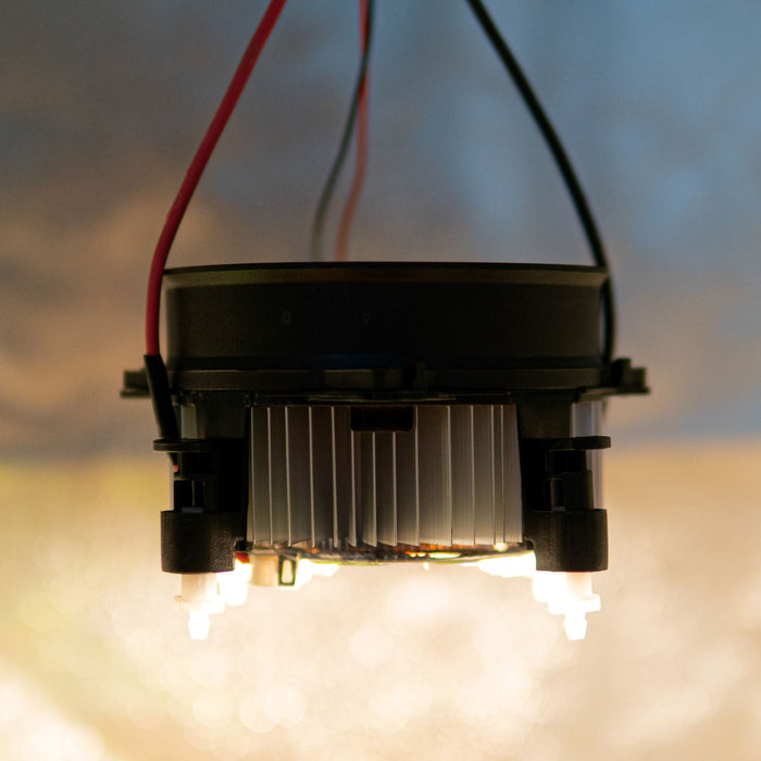 What Is a Cree Light?