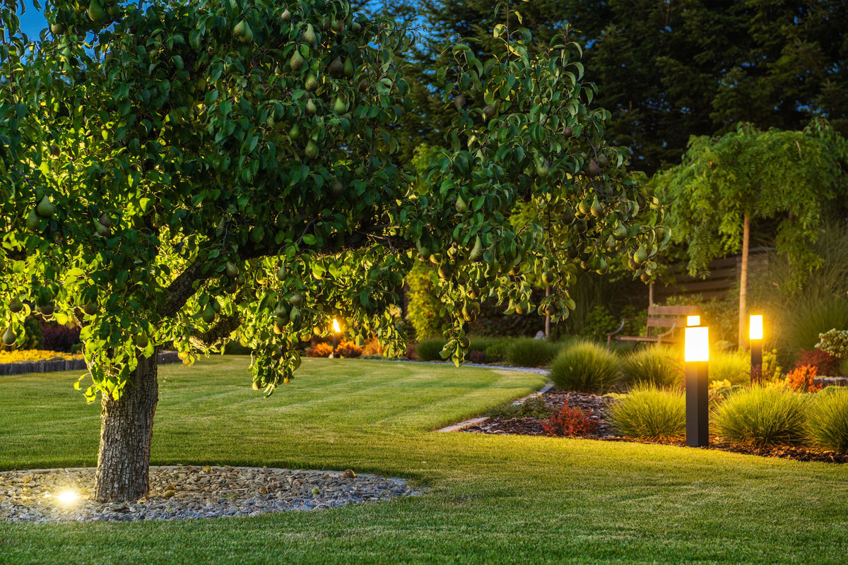 Tips and Tricks How to Set a Landscape Lighting Timer — True Lumens™ Sharper Designs, Inc