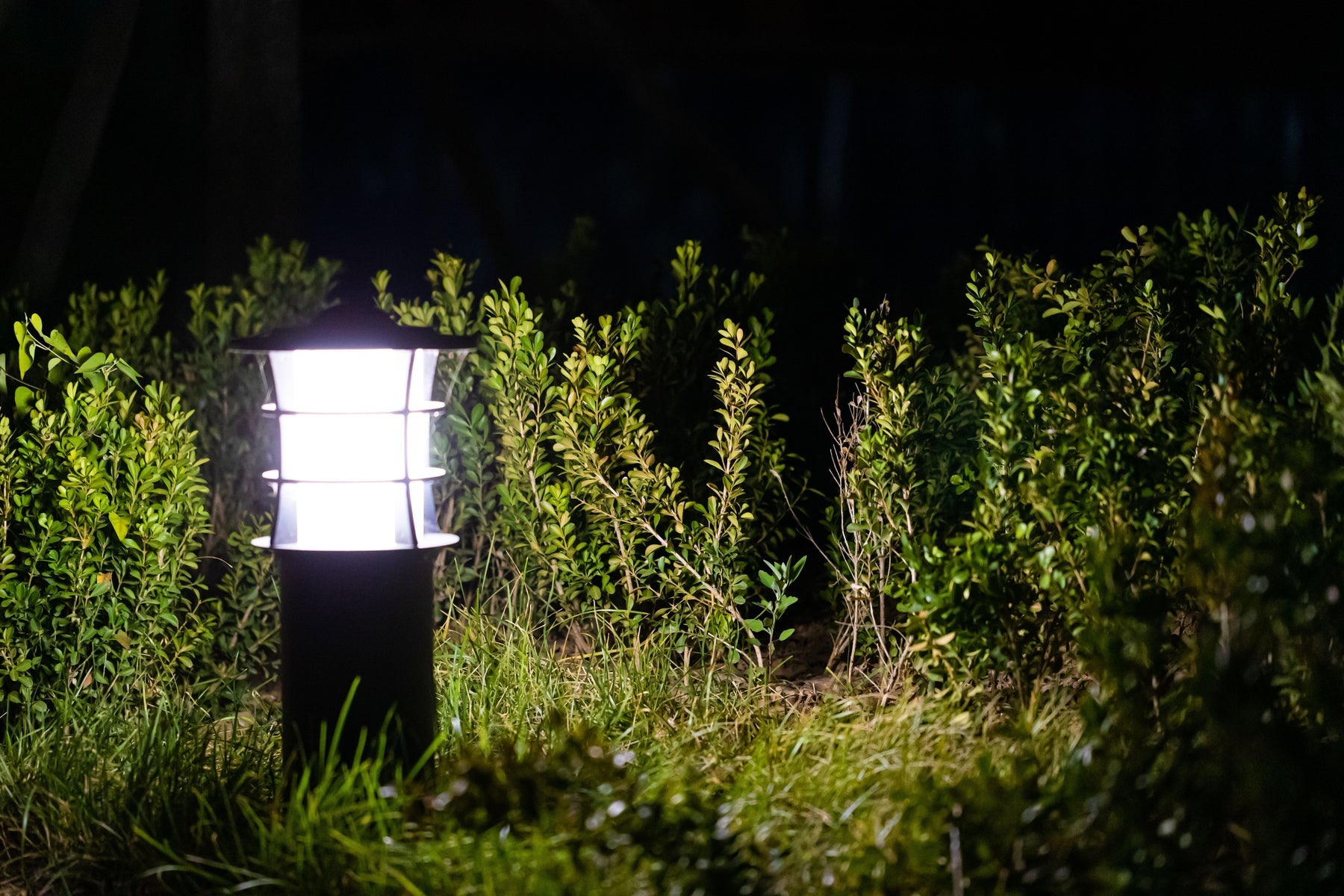 7 Essential Things to Consider Before Buying Solar Bollard Lights