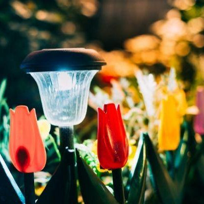 Decorate Your Garden with Solar Lights