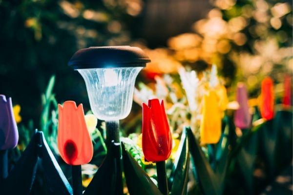 Decorate Your Garden with Solar Lights