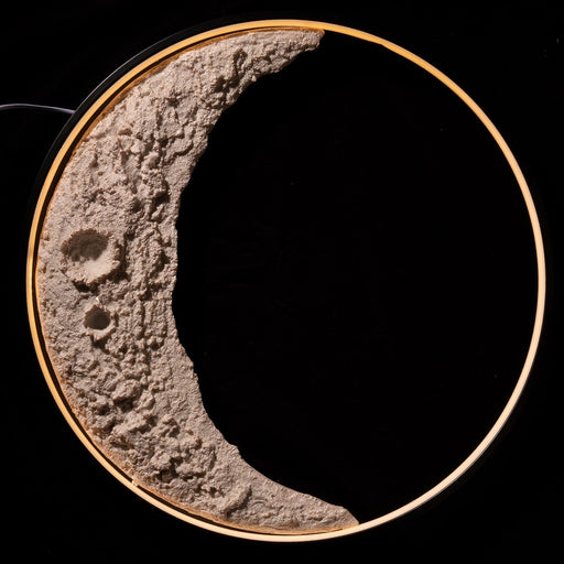 3D Moon Indoor & Outdoor Wall Lamp n/a EP Designlab LLC 